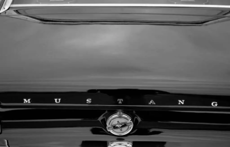 slub_w_stylu_pin_up_21
